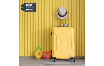 Blue Ribbon Bags (Lost Baggage Service)